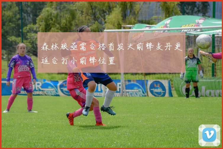 森林狼亟需合格首发大前锋麦丹更适合打小前锋位置