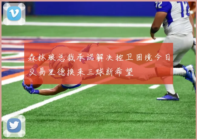 森林狼总裁承诺解决控卫困境今日交易里德换来三球新希望
